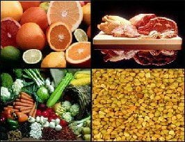 Los alimentos ricos en hierro para anemia ferropénica son básicos,como la fruta con hierro,frutos secos,pescados o comidas que tienen hierro.